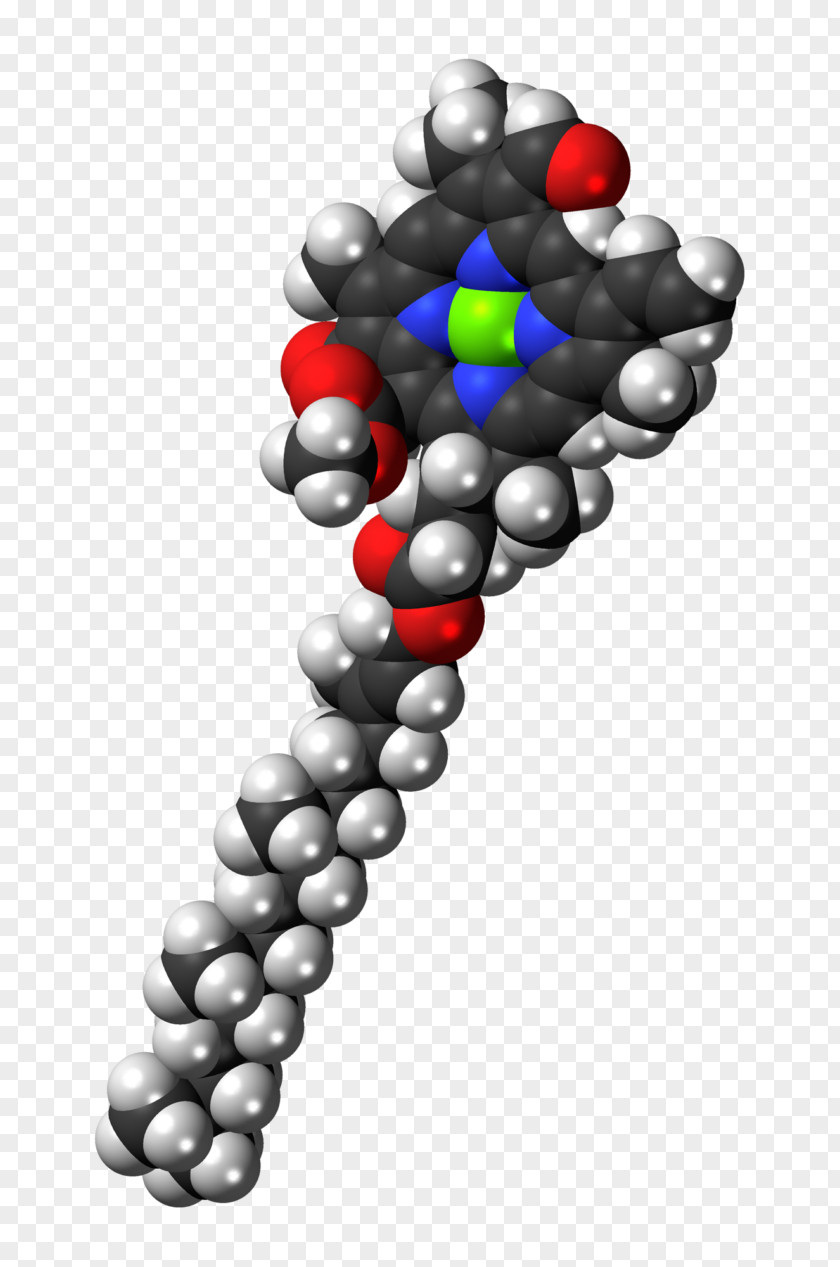 Molecule Chlorophyll A B Photosynthesis PNG