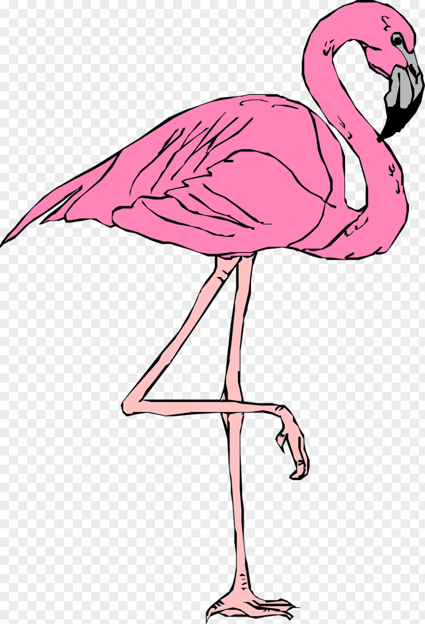 Pink Flamingos Flamingo Free Content Website Clip Art PNG