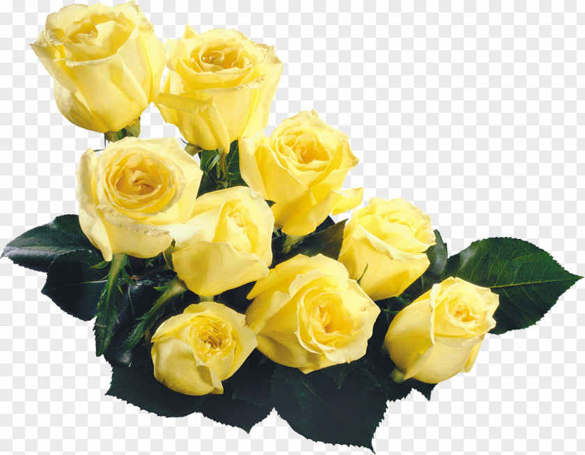 Yellow Rose Flower Bouquet Clip Art PNG