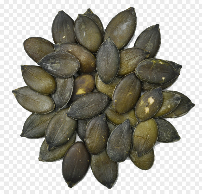Pumpkin Seeds Vegetarian Cuisine Mussel Clam Seed Food PNG