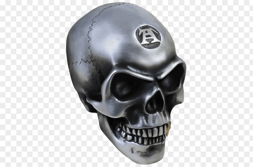 Skull Human Alchemy Color Resin Casting PNG