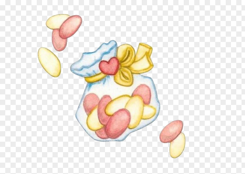 Candy Birth Infant Neonate Child Umbilical Cord PNG