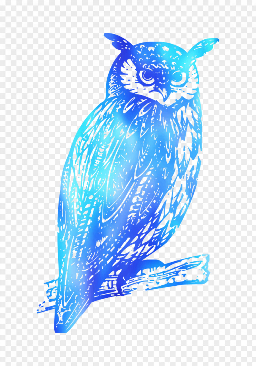 Feather Cobalt Blue Beak PNG