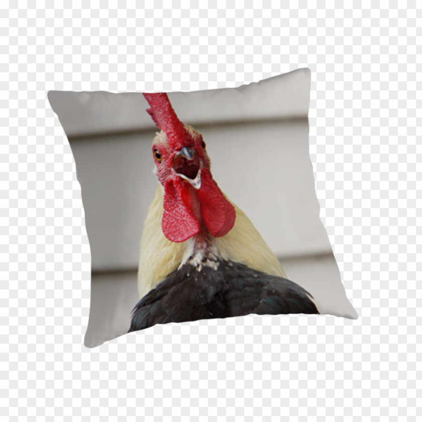 Foghorn Leghorn Cushion Throw Pillows Rooster PNG