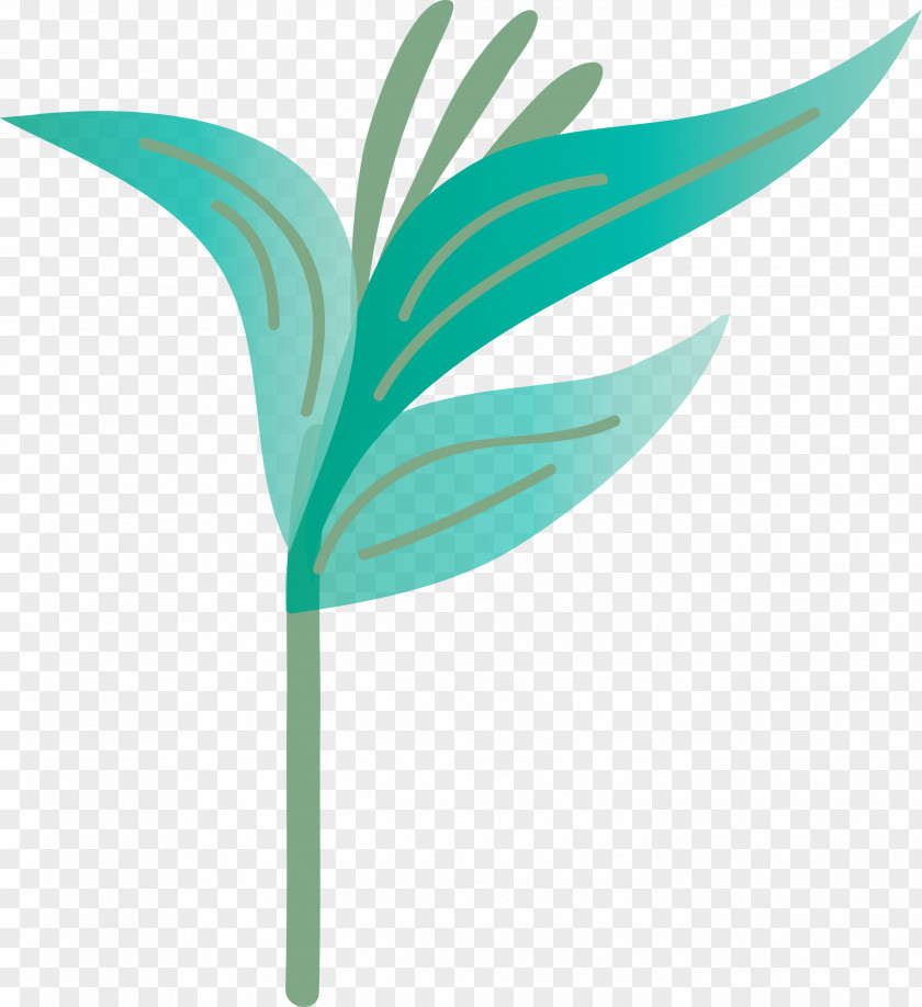 Leaf Plant Stem M-tree Green Tree PNG