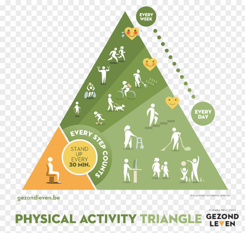 Physical Activity Voedingsdriehoek Food Health Bewegingsdriehoek Eating PNG