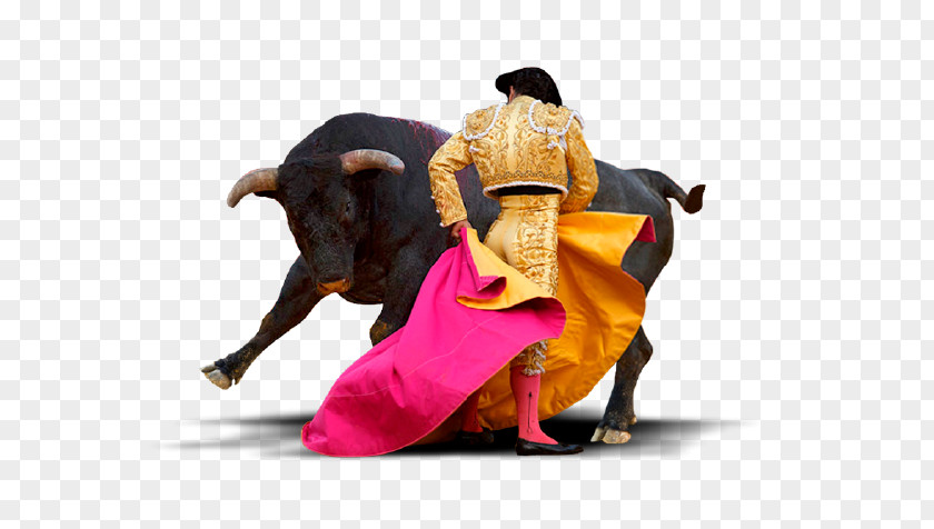 Torero Bullring Spanish-style Bullfighting La Tauromachie PNG