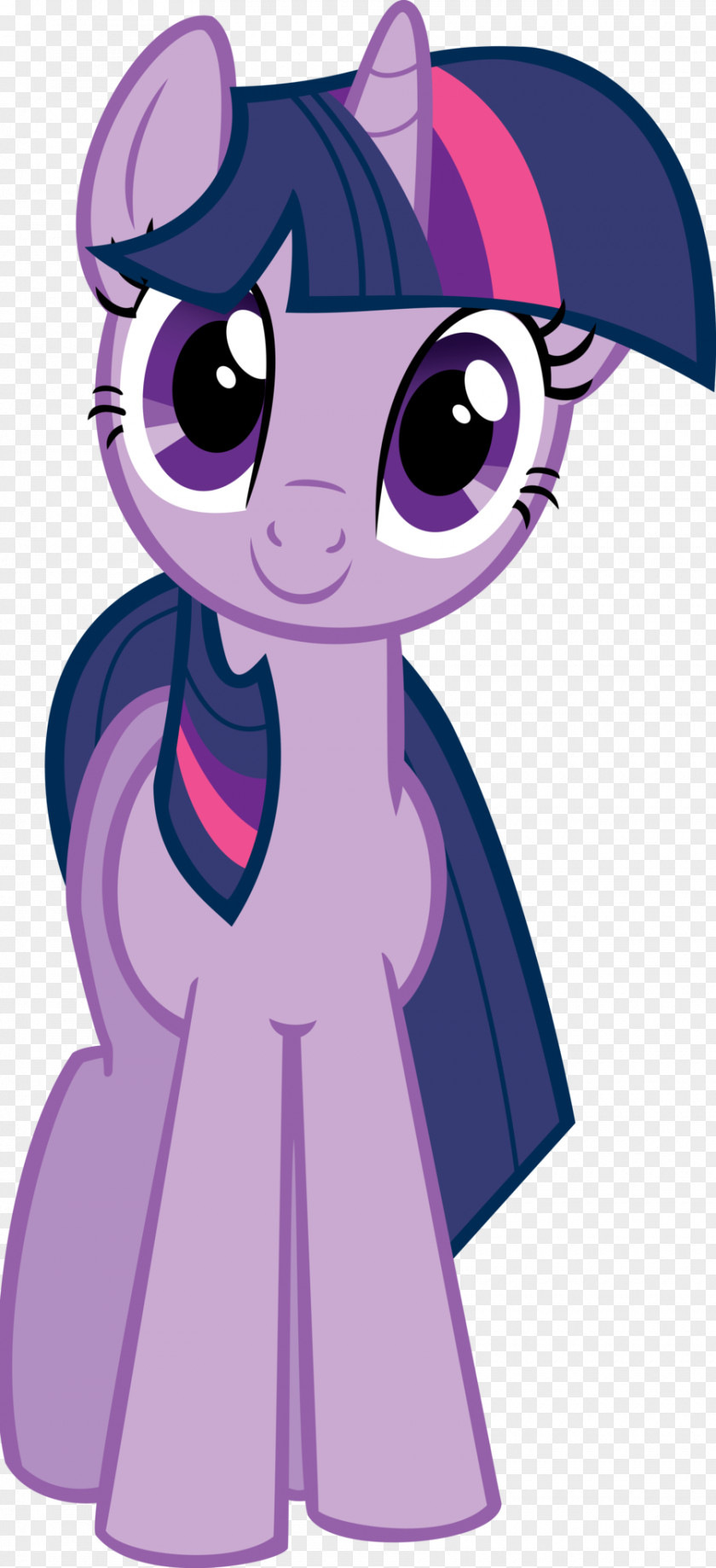 Twilight Rainbow Dash Pinkie Pie Pony Sparkle Rarity PNG