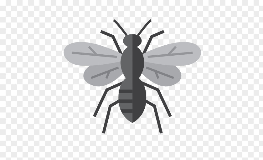 Wasp Insect Mosquito Pest Control Ant PNG