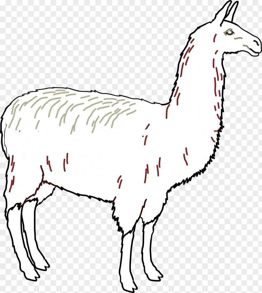 Camel Llama Alpaca Clip Art PNG