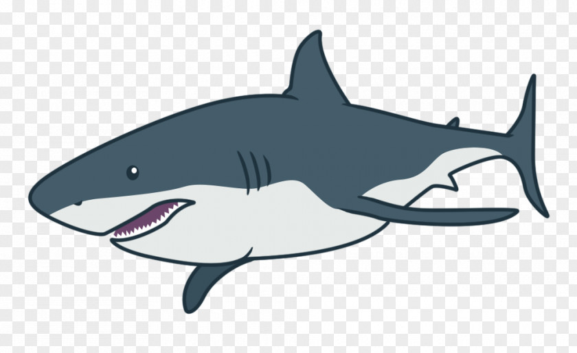 Chaser Tiger Shark Great White Squaliform Sharks Mackerel Requiem PNG