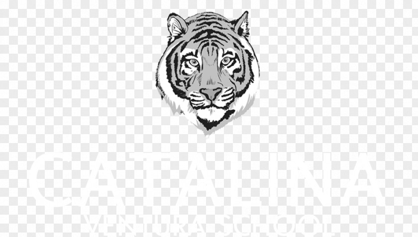 Tiger Bengal Logo Cat PNG