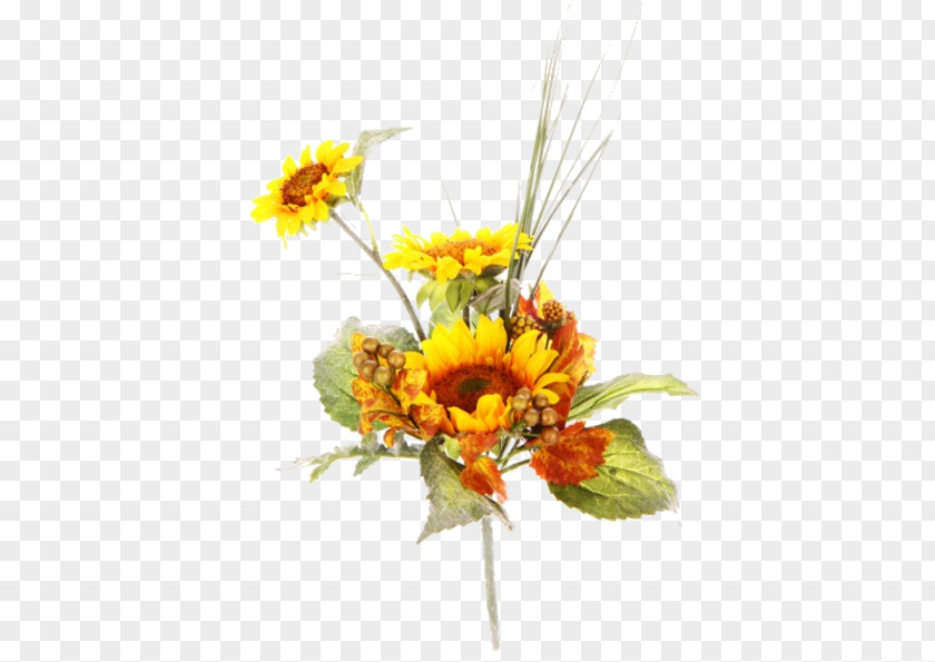 Flower Floral Design Yellow Common Sunflower Cut Flowers Bouquet PNG
