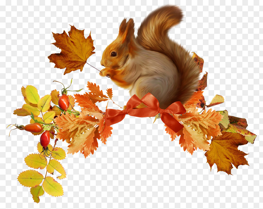 Squirrel Chipmunk Autumn Rodent PNG