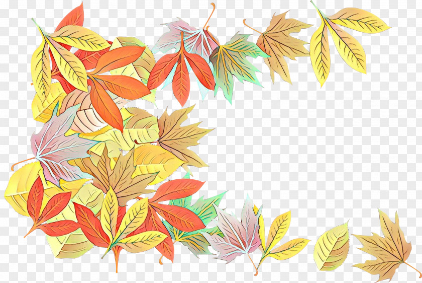 Deciduous Autumn Leaf Yellow Plant Tree Clip Art PNG