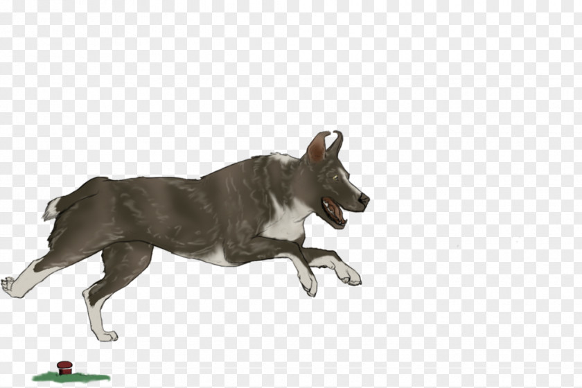 Dog Breed Fauna Wildlife PNG