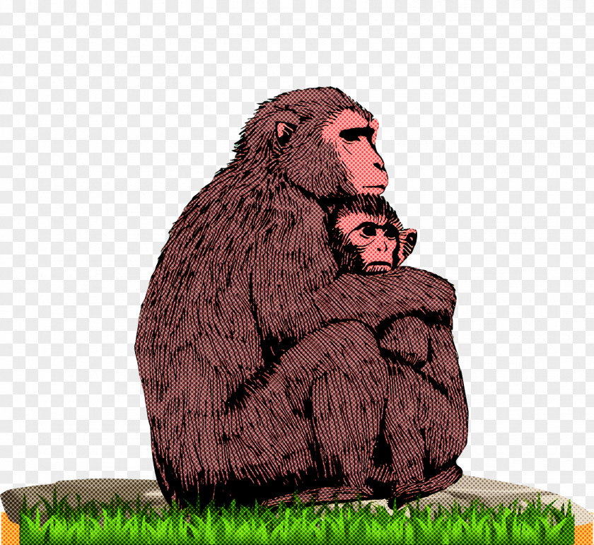 Old World Monkeys Macaques Cartoon Man-ape PNG