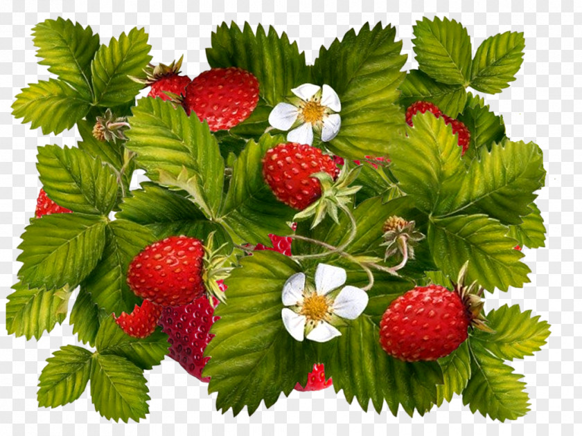 Strawberry Juice Milkshake Fruit Image PNG