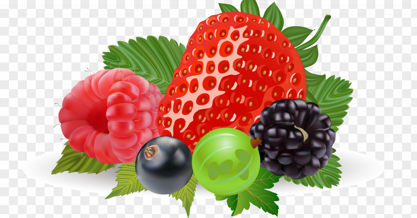 Vector Strawberry Realistic Fruit Blueberry Free Content Clip Art PNG