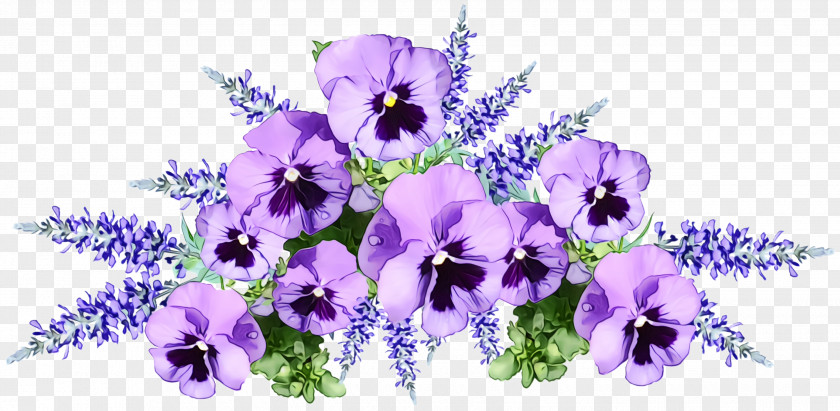 Violet Family Viola Lavender PNG