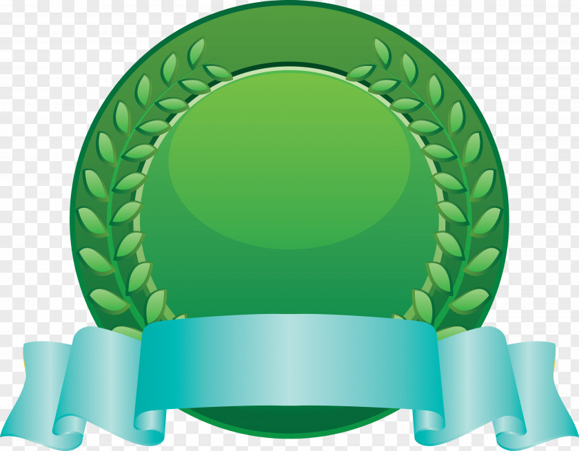 Blank Badge Award PNG