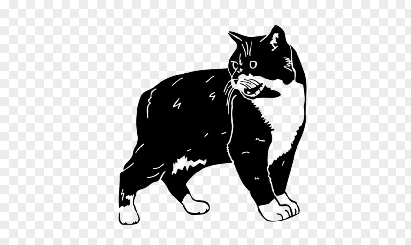 Cat Whiskers Black Domestic Short-haired Dog PNG