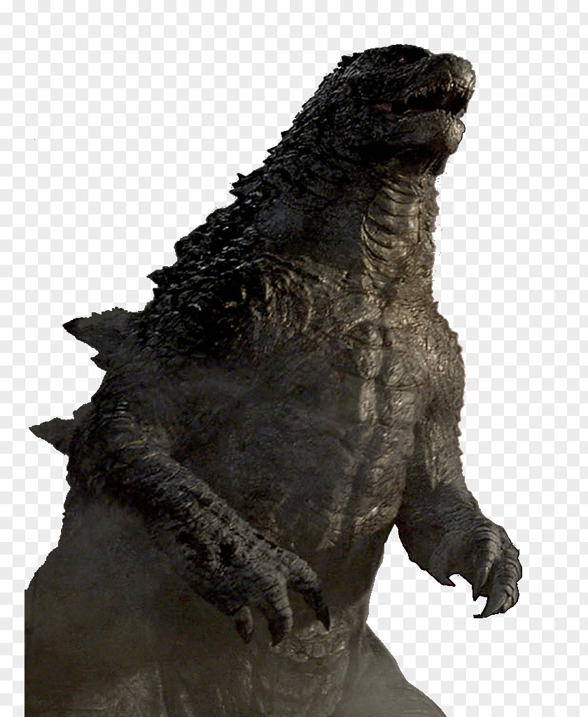 Godzilla File Gamera PNG