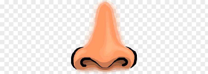 Nose PNG clipart PNG