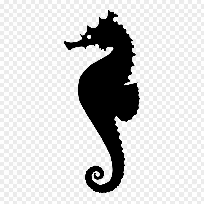 Seahorse Monochrome Photography Syngnathiformes PNG