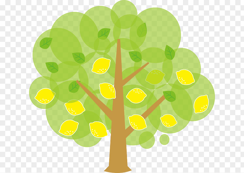 Tree Clip Art PNG