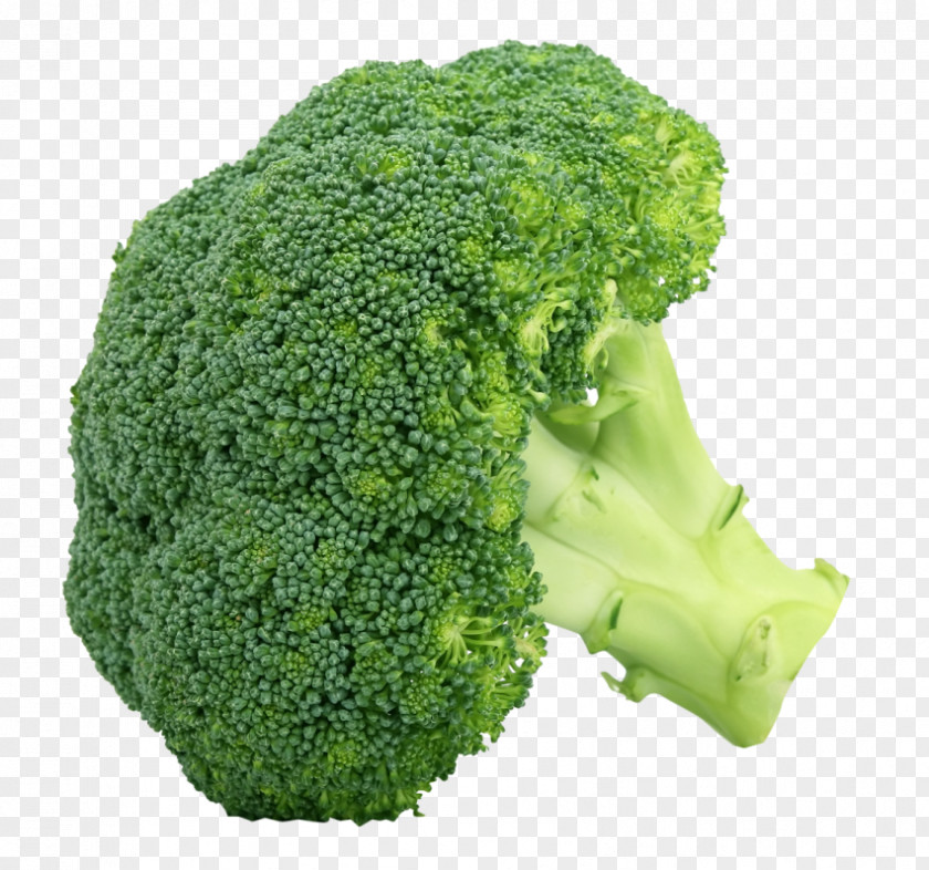 Cabbage Broccoli Clip Art Transparency PNG