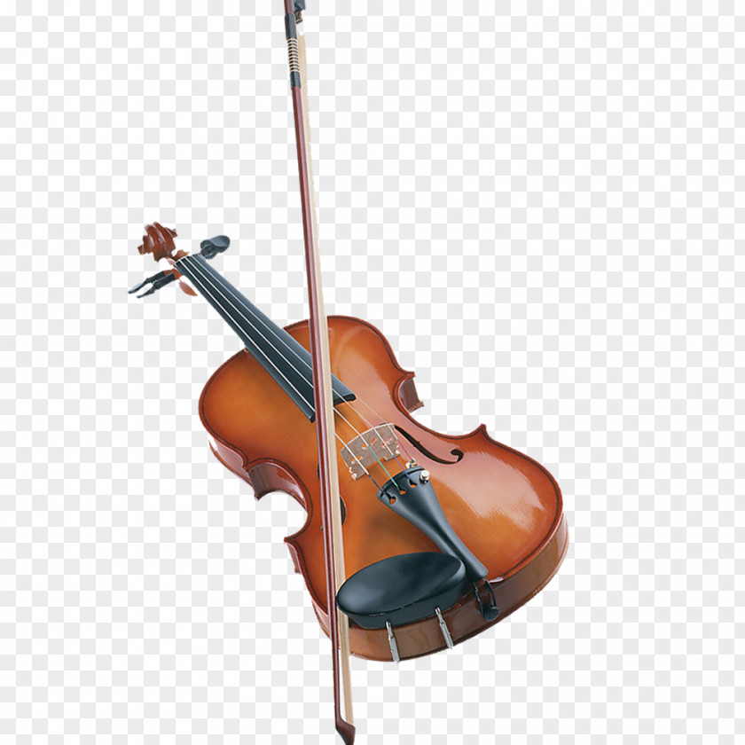 Decorative Pattern Musical Elements Bass Violin Viola Double Violone PNG