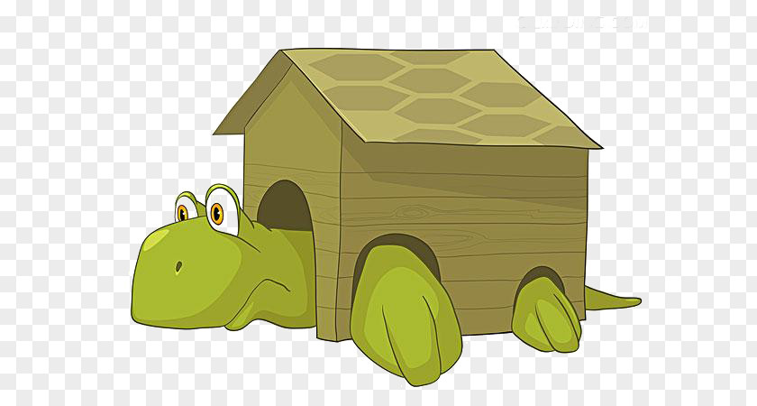 Turtle Creative Cartoon House Royalty-free Illustration PNG