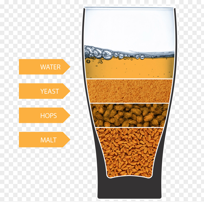 Beer Glasses Hops Brewing Grains & Malts PNG