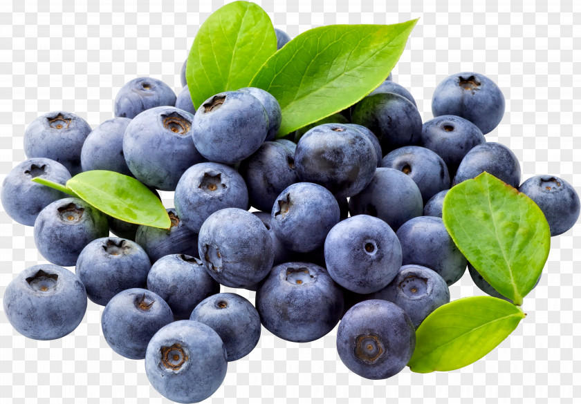 Blueberries Juice Blueberry Fruit Clip Art PNG