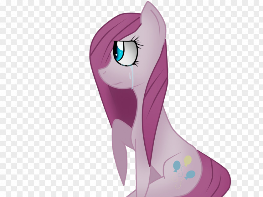 Dog Horse Pinkie Pie Rainbow Dash Artist PNG