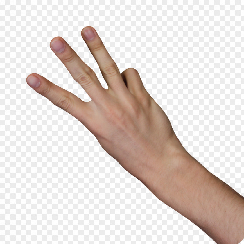 3 Fingers Nail Thumb Digit Finger PNG