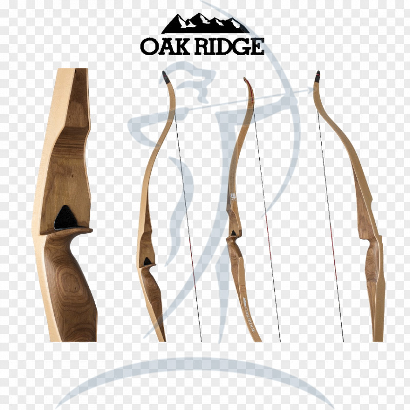 Bow Longbow Recurve Archery And Arrow PNG