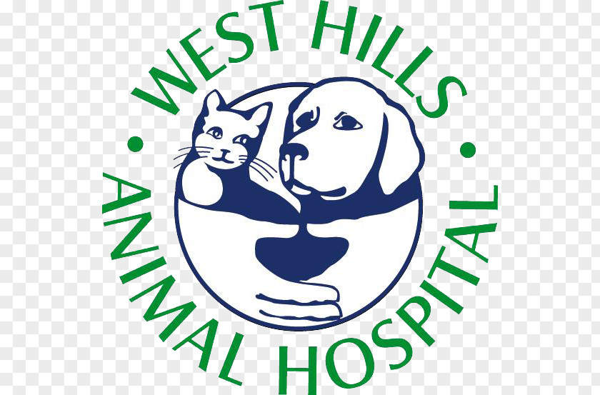 Cat West Hills Animal Hospital Veterinarian Clinique Vétérinaire Pet PNG