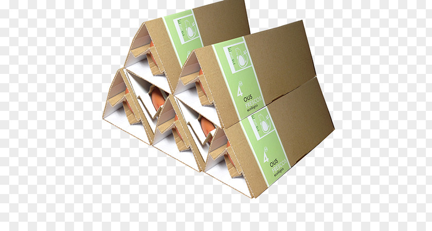 Egg Packaging Carton And Labeling PNG
