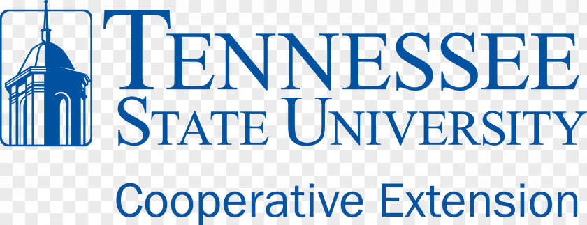 Tsum East Tennessee State University Historically Black Colleges And Universities Academic Degree PNG