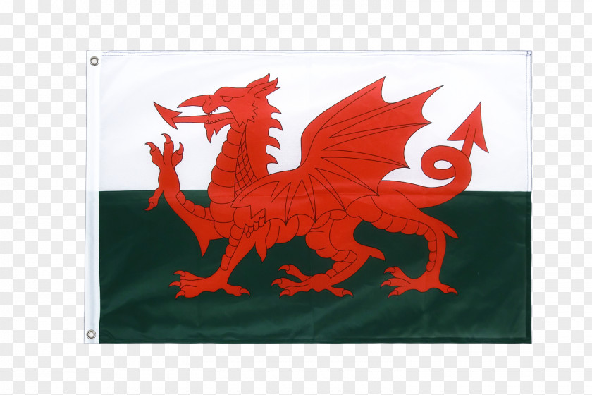 United Kingdom Flag Of The Wales Jack PNG