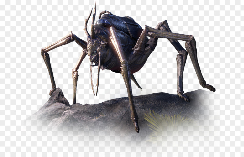 Elder Scrolls Online Insect K2 PNG
