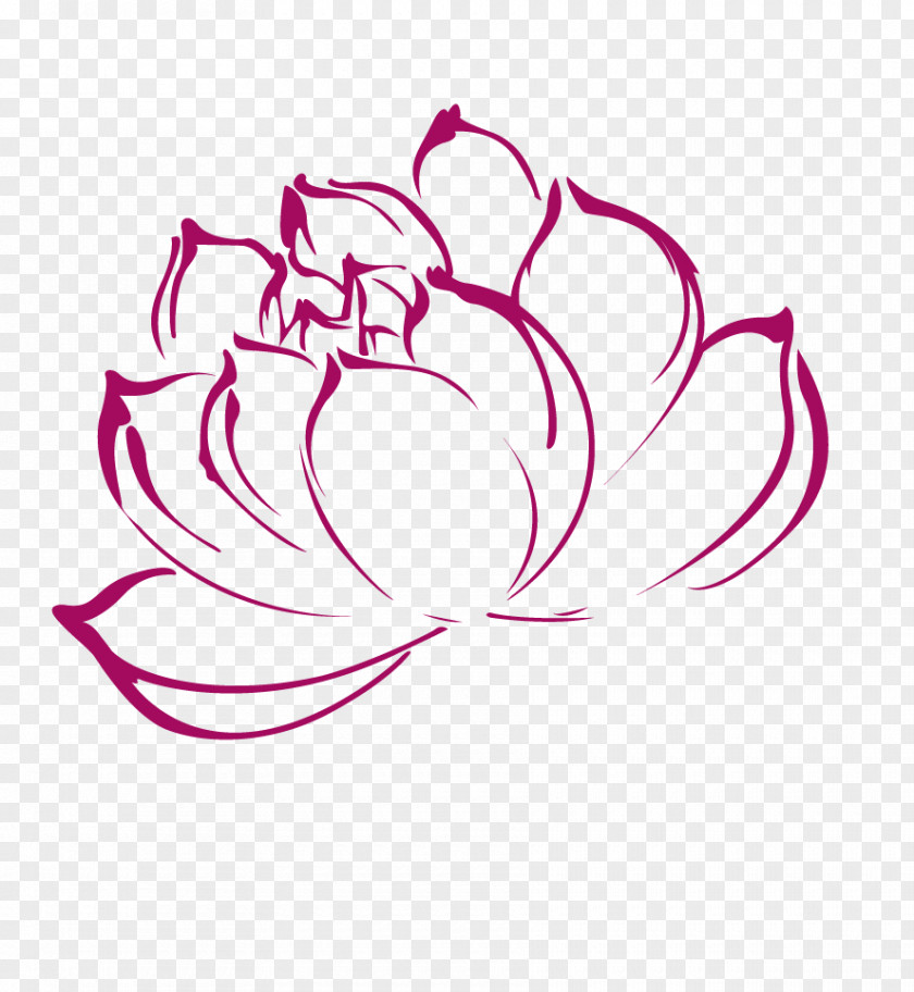Lotus Nelumbo Nucifera Clip Art PNG