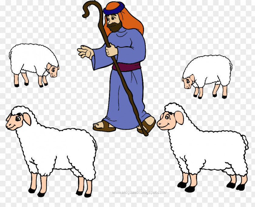 Pastor Sheep Drawing Cattle Goat Clip Art PNG