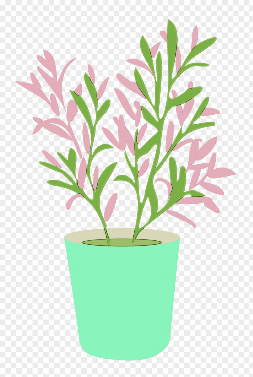 Plant Stem Flower Houseplant Leaf Flowerpot PNG