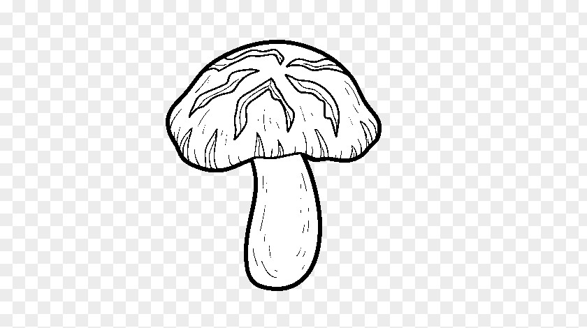 Shiitake Mushroom Edible Coloring Book Vector Graphics PNG