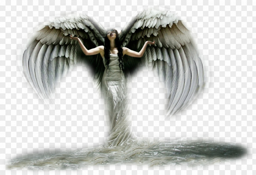 Angel Email Clip Art PNG