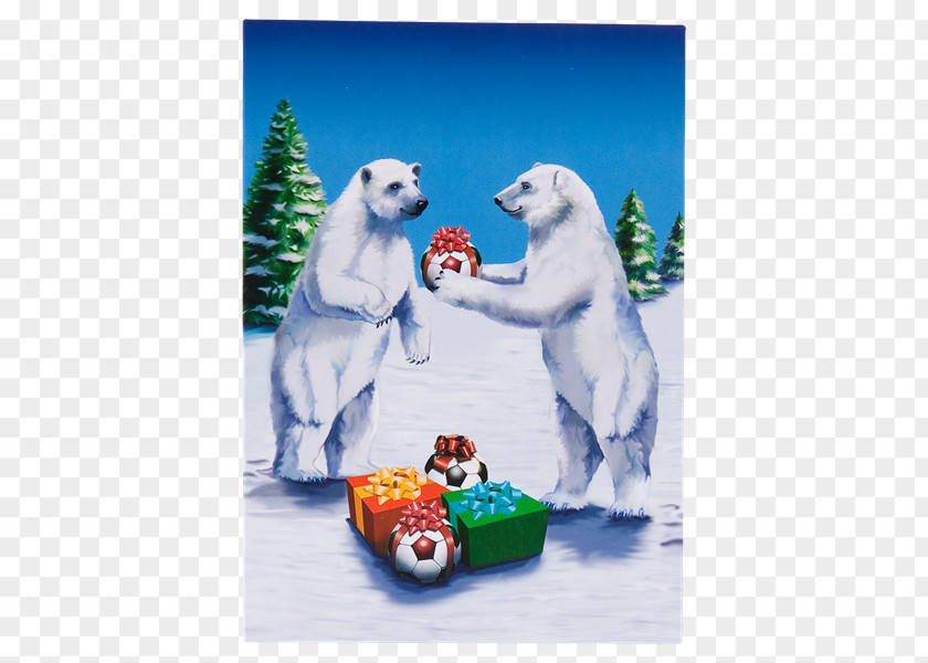 Bear Birthday Card Polar 09738 PNG