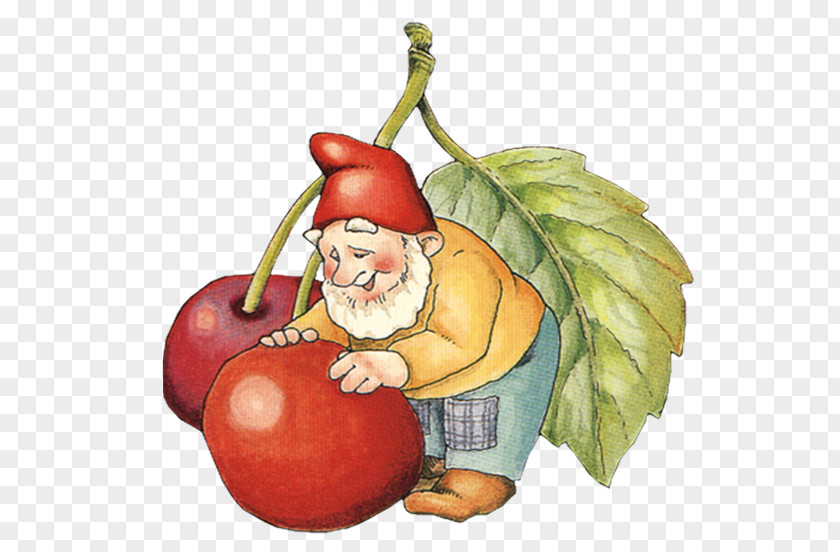 Dwarf Tomato Santa Claus Elf PNG